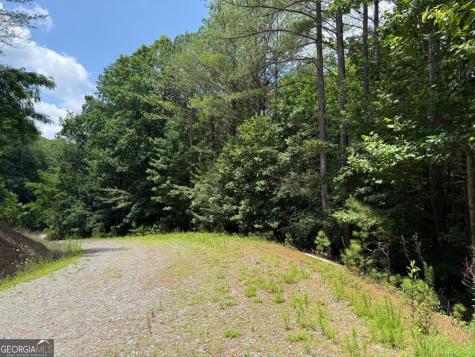 Lot E9 Reece Mountain Road Ellijay GA 30536