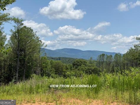 Lot E9 Reece Mountain Road Ellijay GA 30536