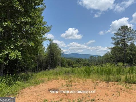 Lot E9 Reece Mountain Road Ellijay GA 30536