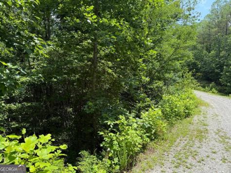 Lot E9 Reece Mountain Road Ellijay GA 30536