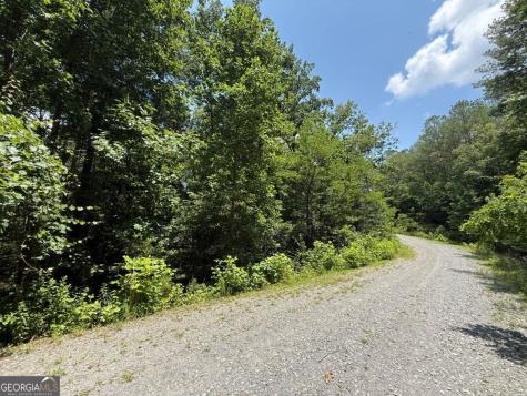 Lot E9 Reece Mountain Road Ellijay GA 30536