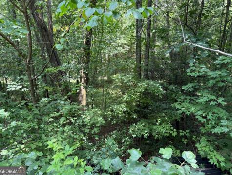 Lot E9 Reece Mountain Road Ellijay GA 30536