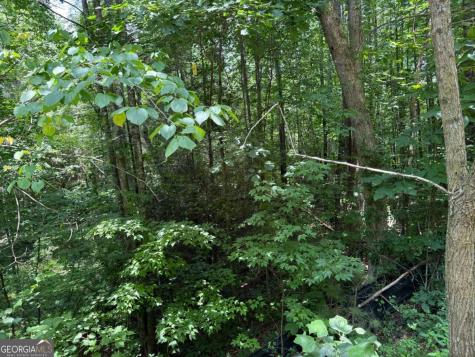 Lot E9 Reece Mountain Road Ellijay GA 30536