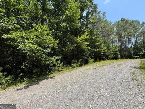 Lot E9 Reece Mountain Road Ellijay GA 30536
