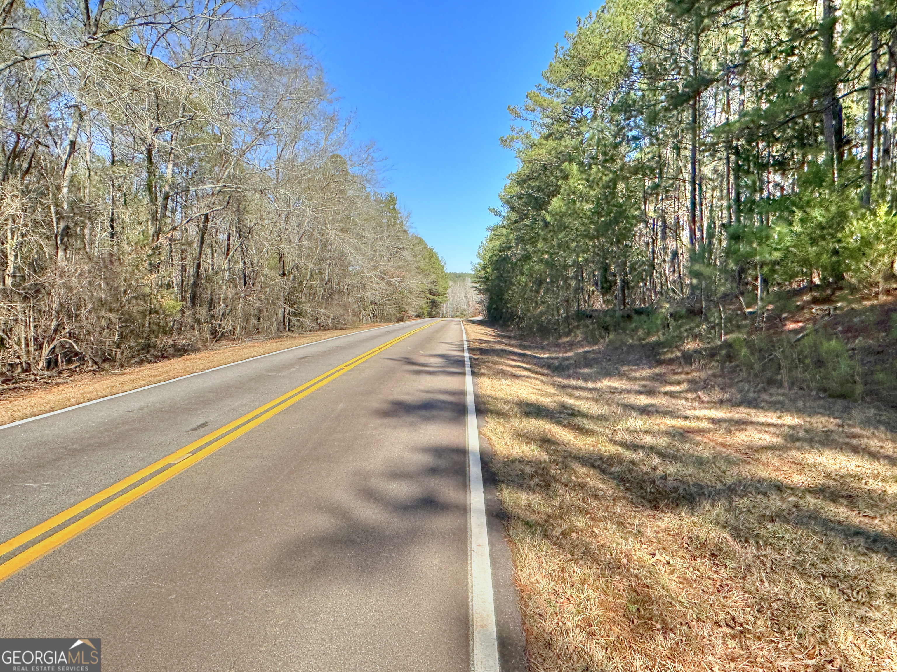 0 Salem Lot 3 Road Pine Mountain GA 31822