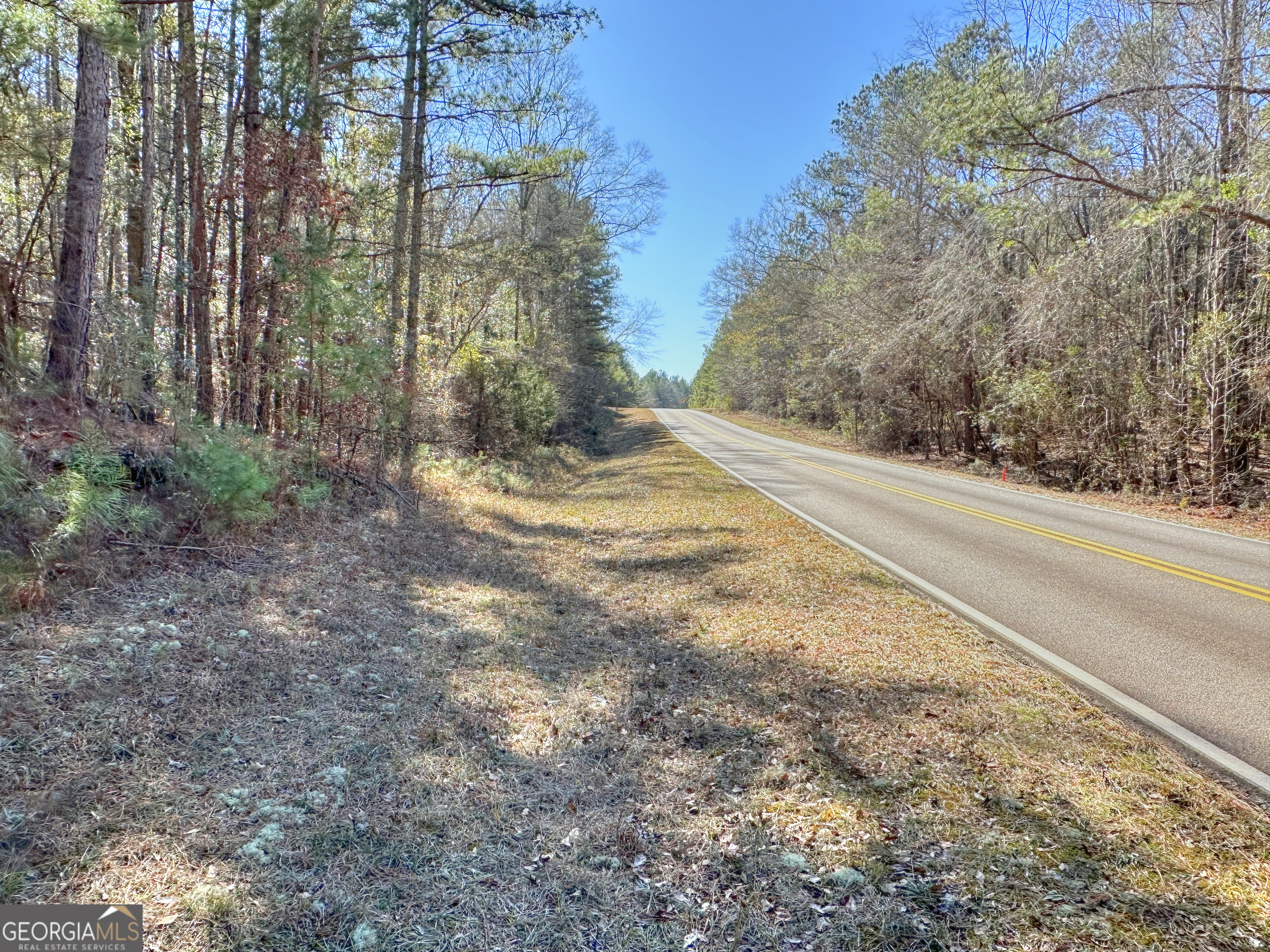 0 Salem Lot 3 Road Pine Mountain GA 31822