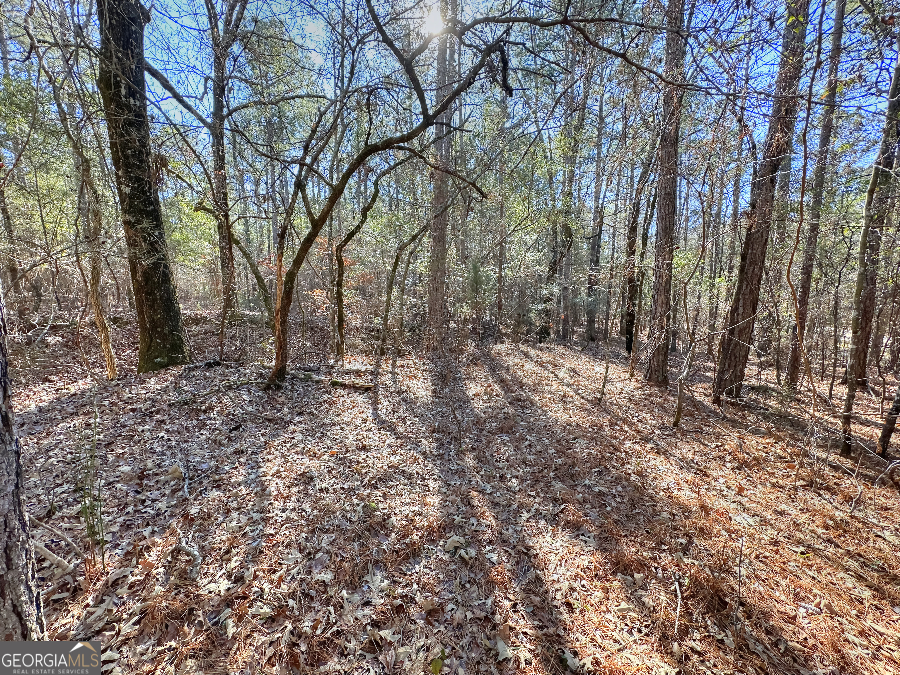 0 Salem Lot 3 Road Pine Mountain GA 31822