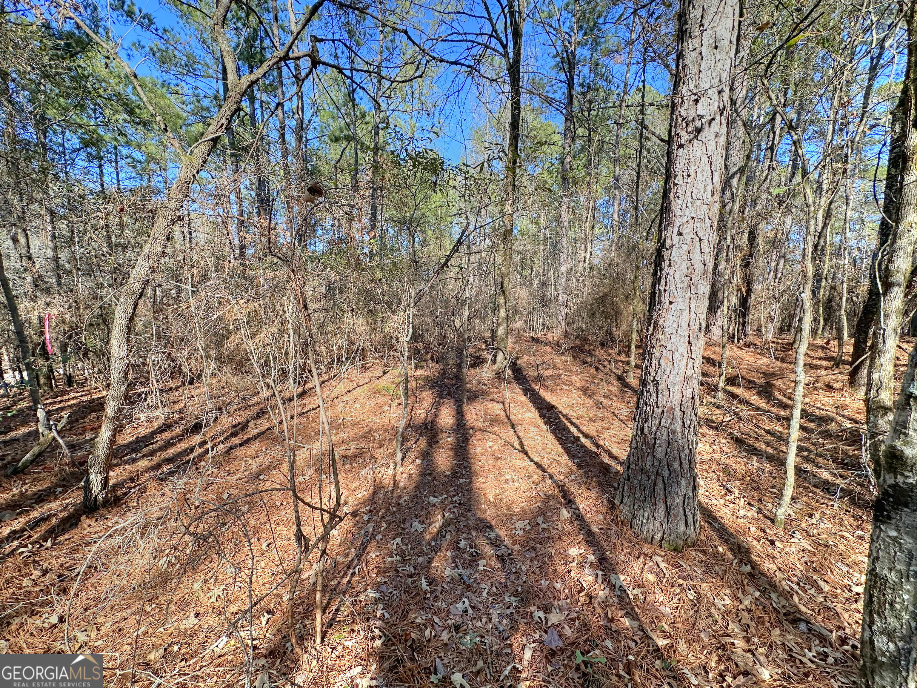 0 Salem Lot 3 Road Pine Mountain GA 31822