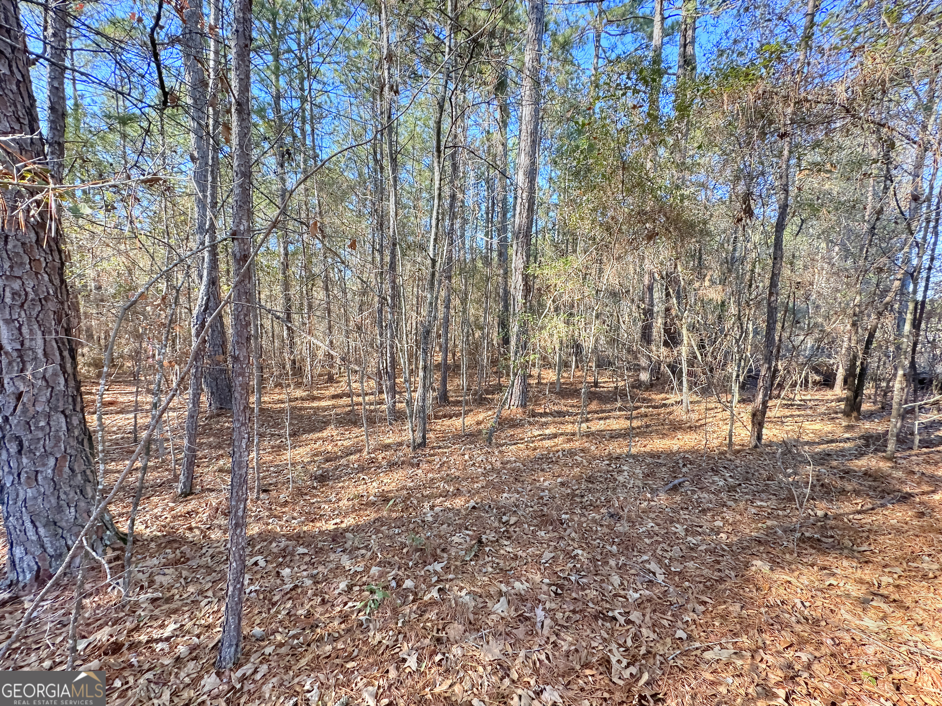 0 Salem Lot 3 Road Pine Mountain GA 31822