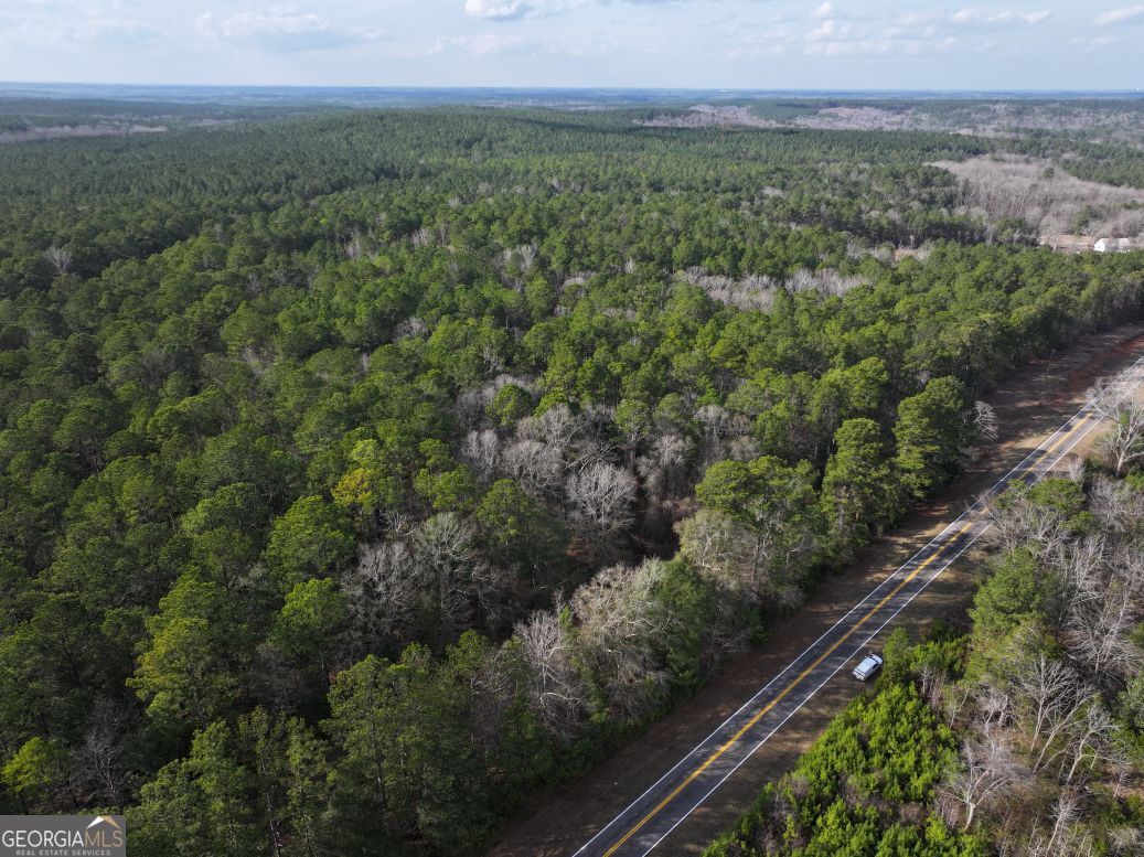 0 Salem Lot 3 Road Pine Mountain GA 31822