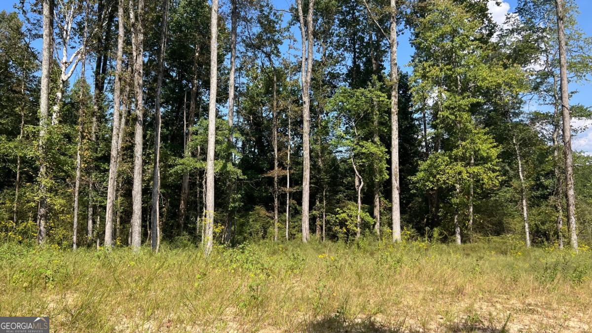 512 Level Creek Road Sugar Hill GA 30518