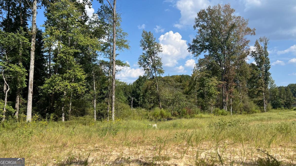 512 Level Creek Road Sugar Hill GA 30518