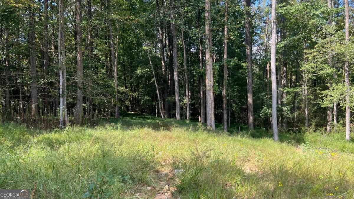 512 Level Creek Road Sugar Hill GA 30518