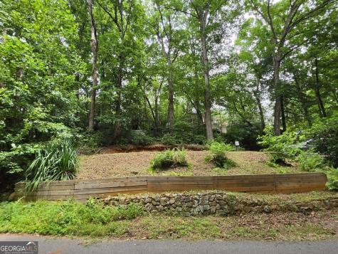 238 Magnificent Way Cleveland GA 30528