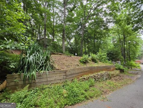 238 Magnificent Way Cleveland GA 30528