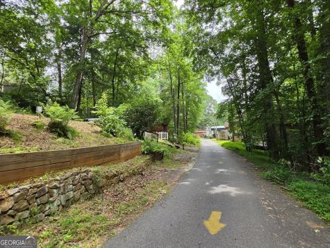 238 Magnificent Way Cleveland GA 30528