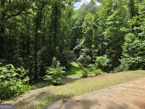 238 Magnificent Way Cleveland GA 30528
