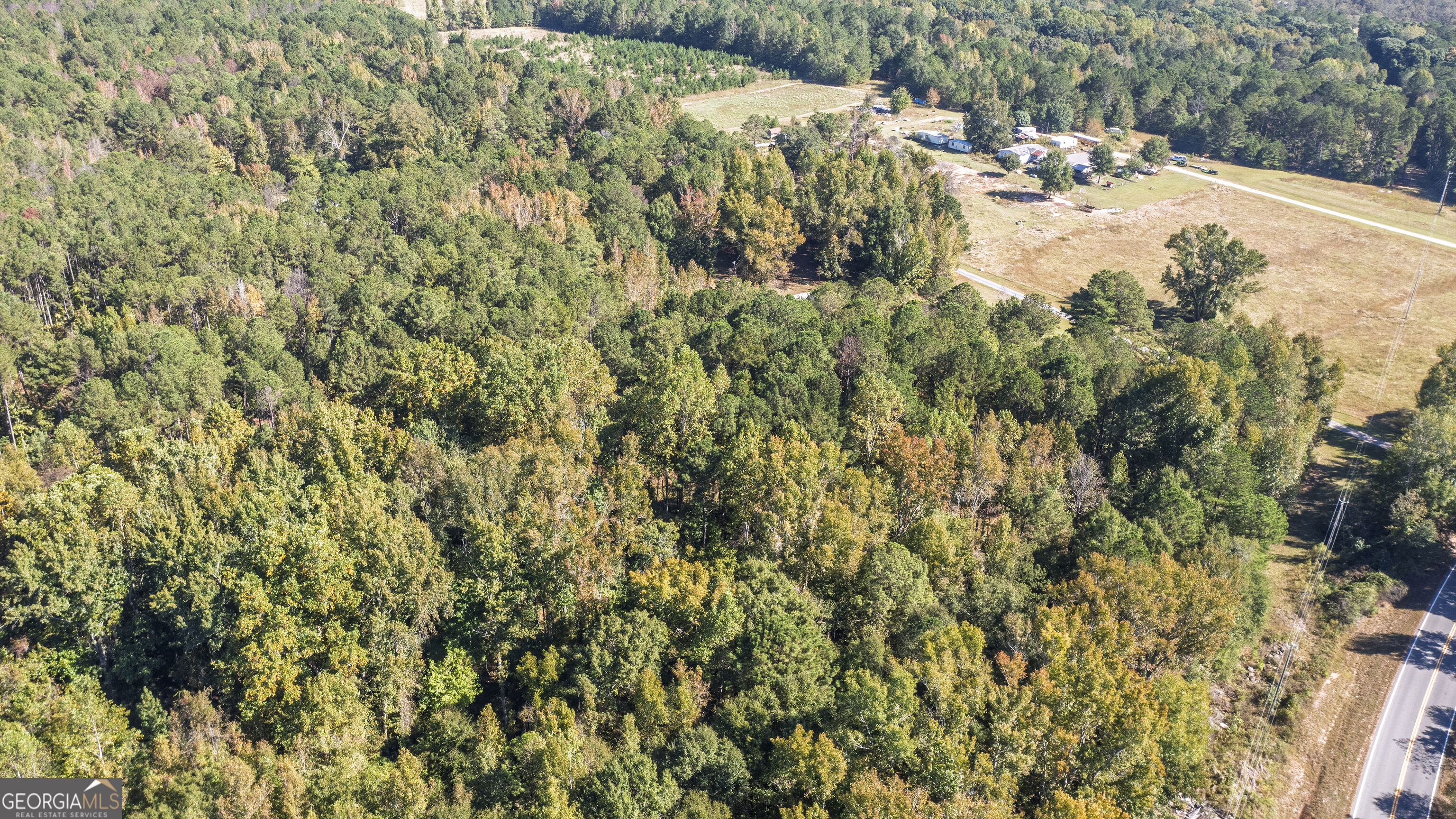 81 Persimmon Lane Warm Springs GA 31830