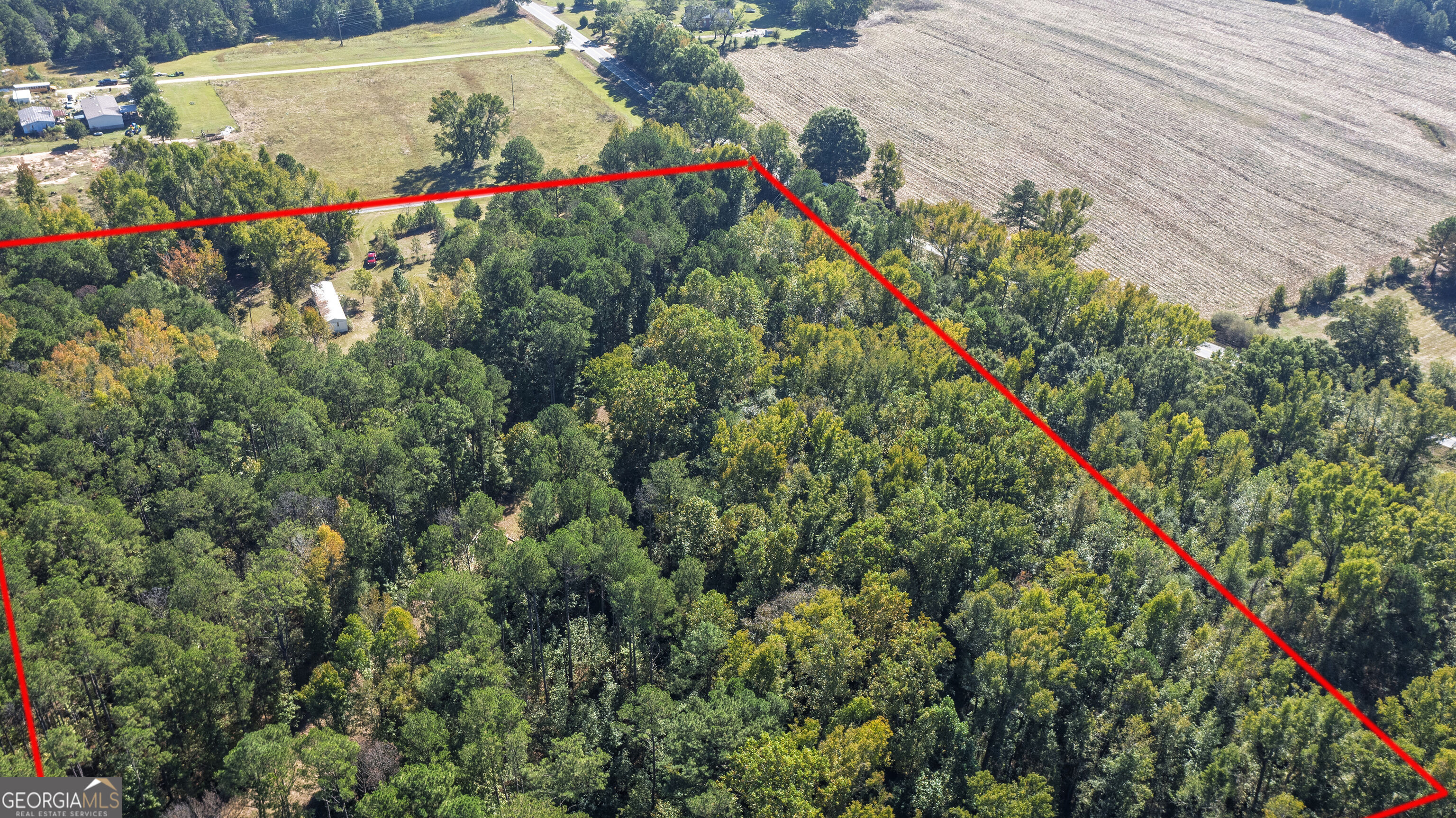 81 Persimmon Lane Warm Springs GA 31830
