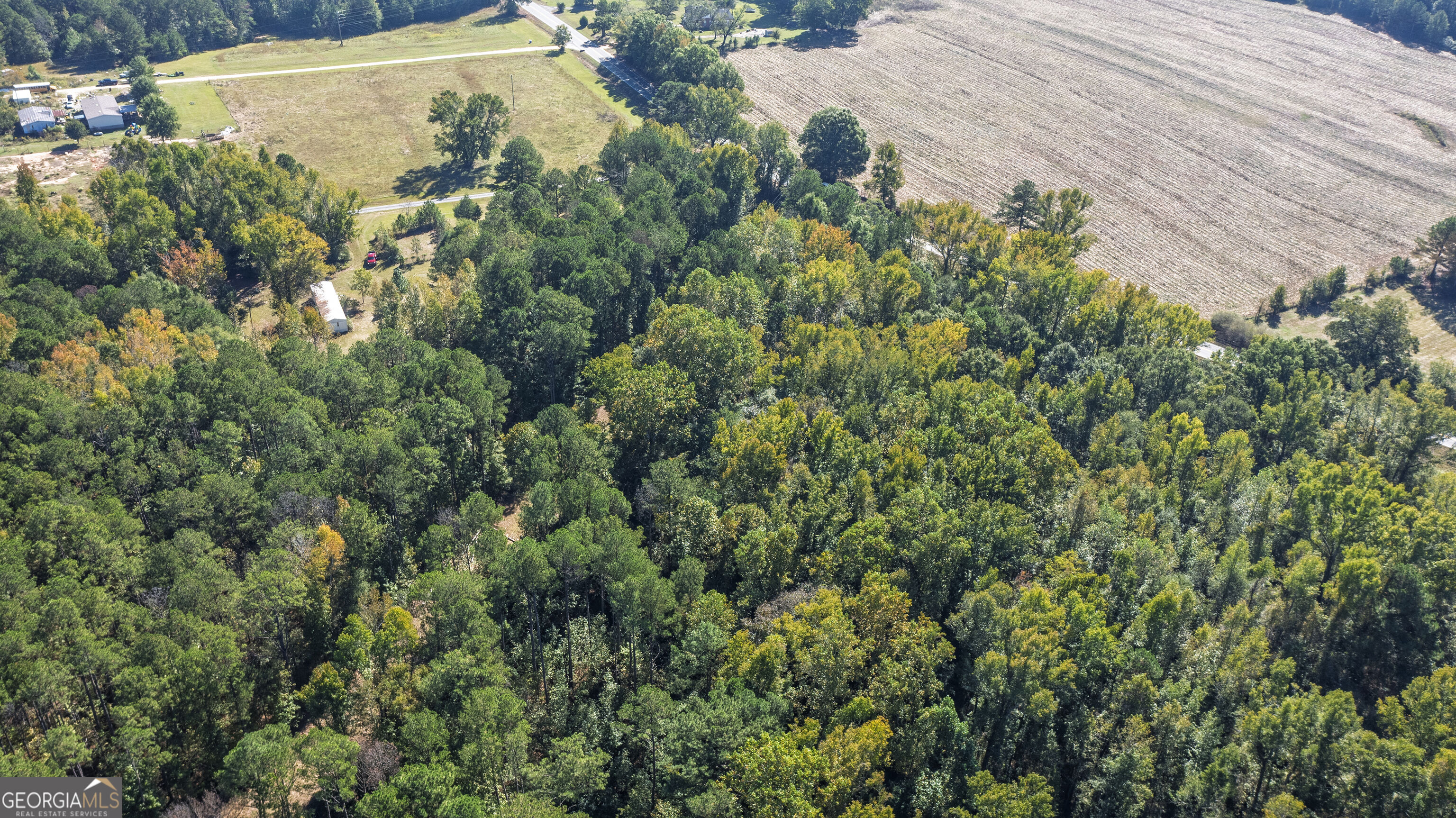 81 Persimmon Lane Warm Springs GA 31830