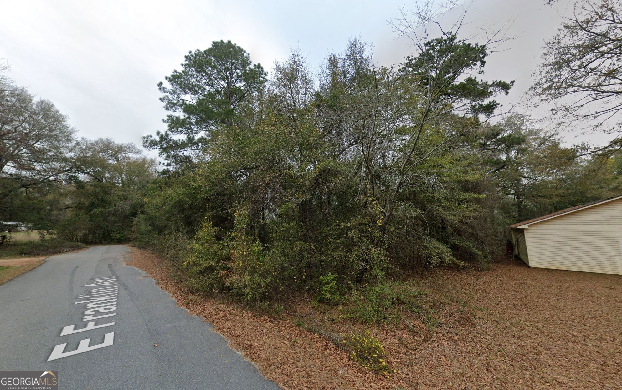 0 E Franklin Avenue Hawkinsville GA 31036