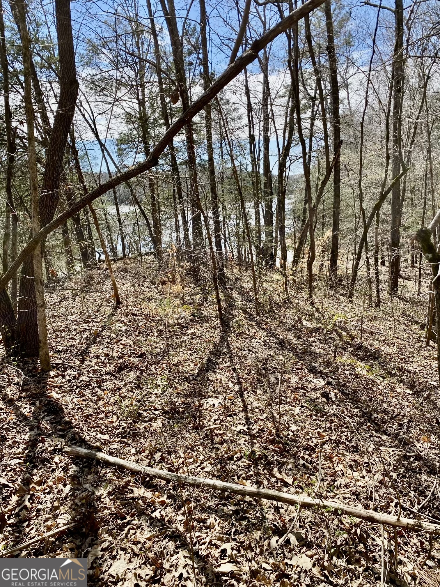 0 Bond Drive Elberton GA 30635