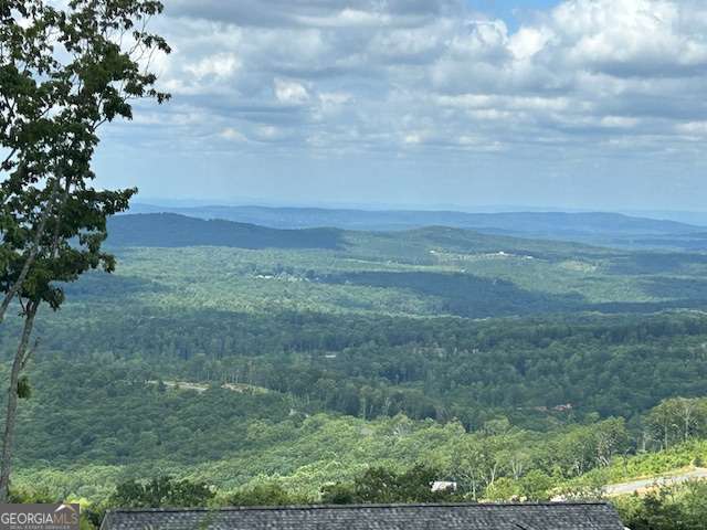 Lt 95 Timberline Trail Ellijay GA 30540