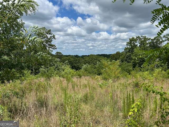 Lt 95 Timberline Trail Ellijay GA 30540
