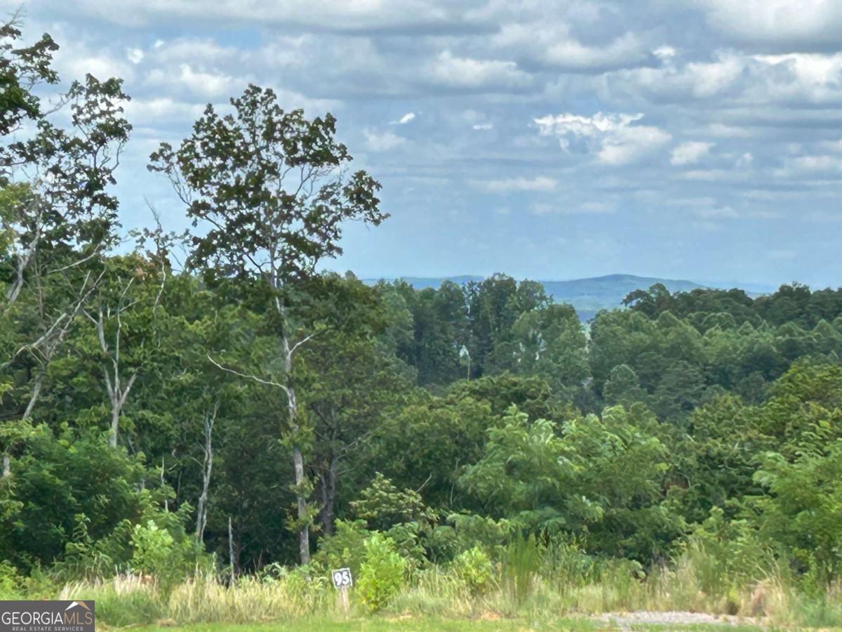 Lt 95 Timberline Trail Ellijay GA 30540