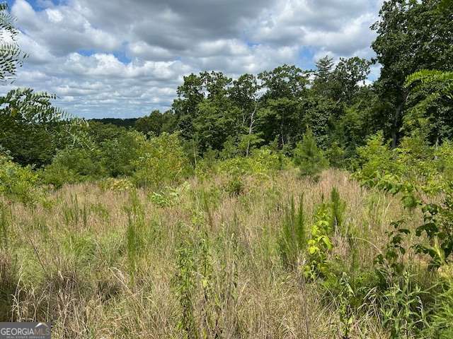 Lt 95 Timberline Trail Ellijay GA 30540