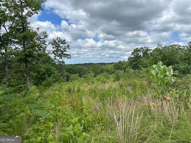 Lt 95 Timberline Trail Ellijay GA 30540