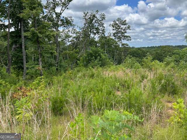 Lt 95 Timberline Trail Ellijay GA 30540