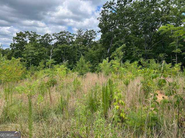 Lt 95 Timberline Trail Ellijay GA 30540