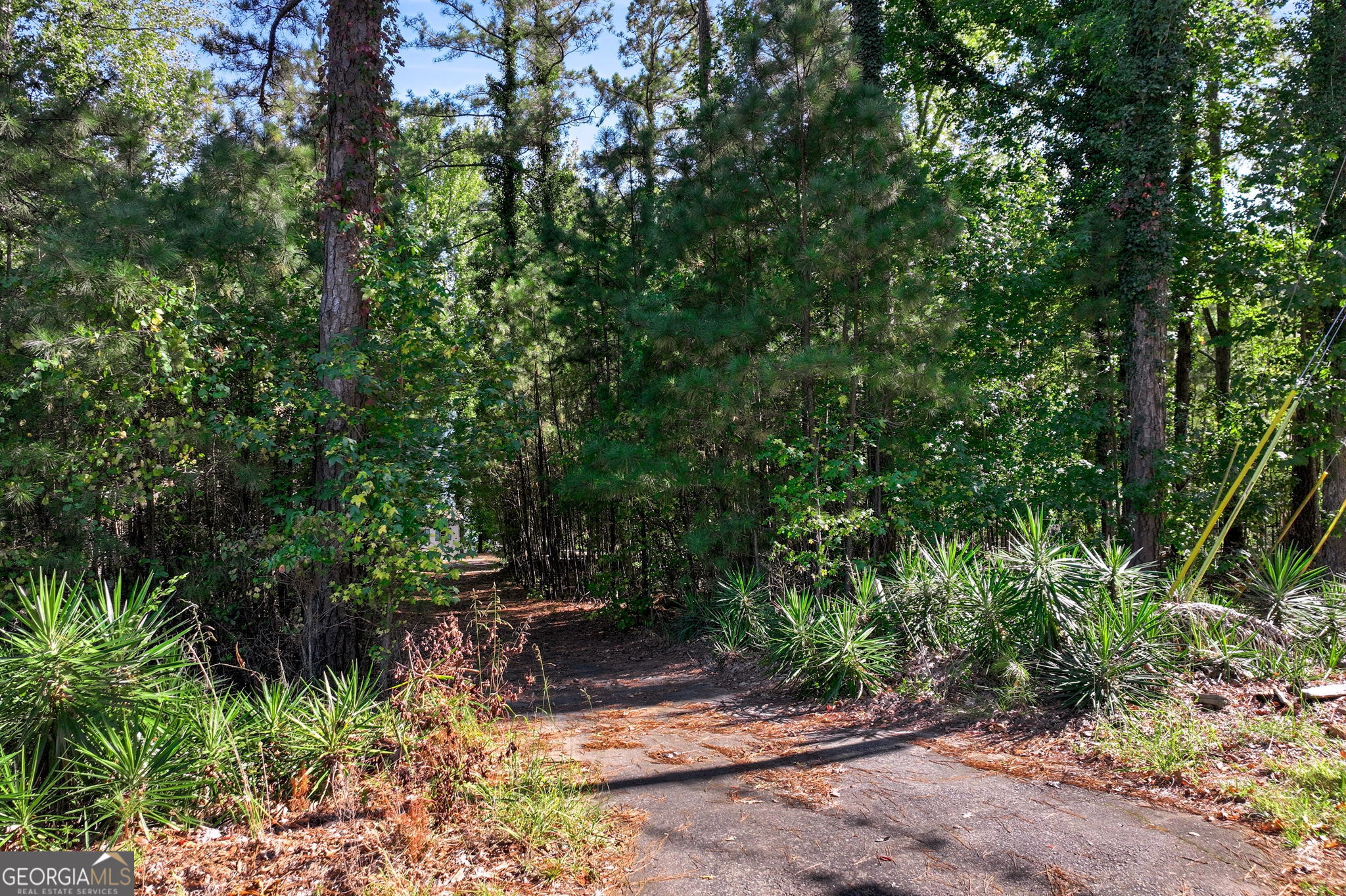4957 Ponderosa Drive Gainesville GA 30504