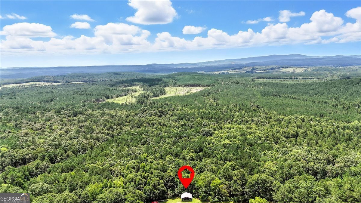 0 George Road Cave Spring GA 30124