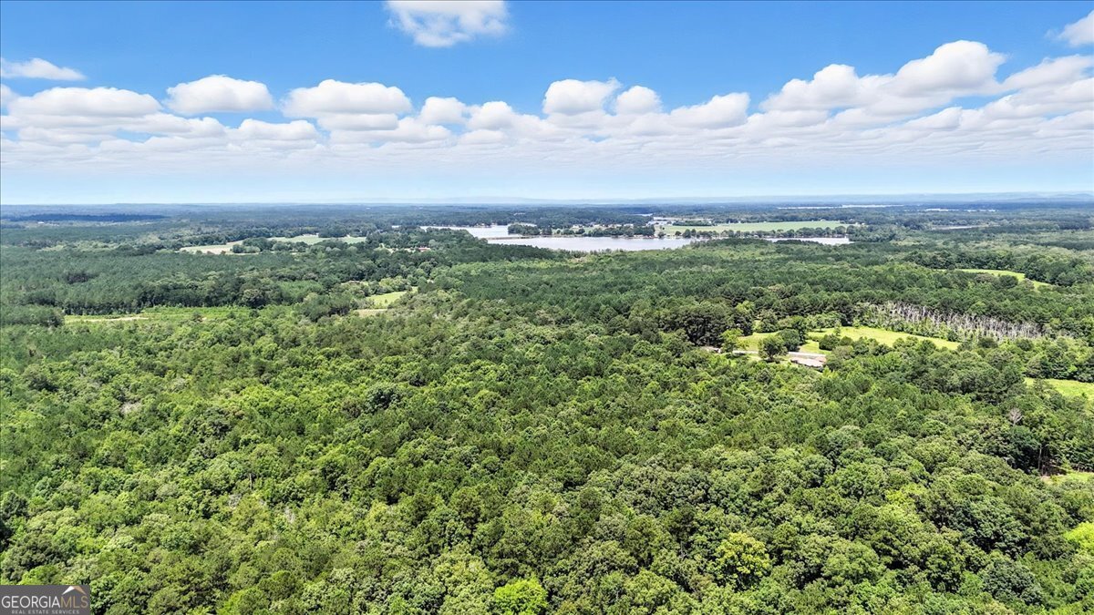 0 George Road Cave Spring GA 30124