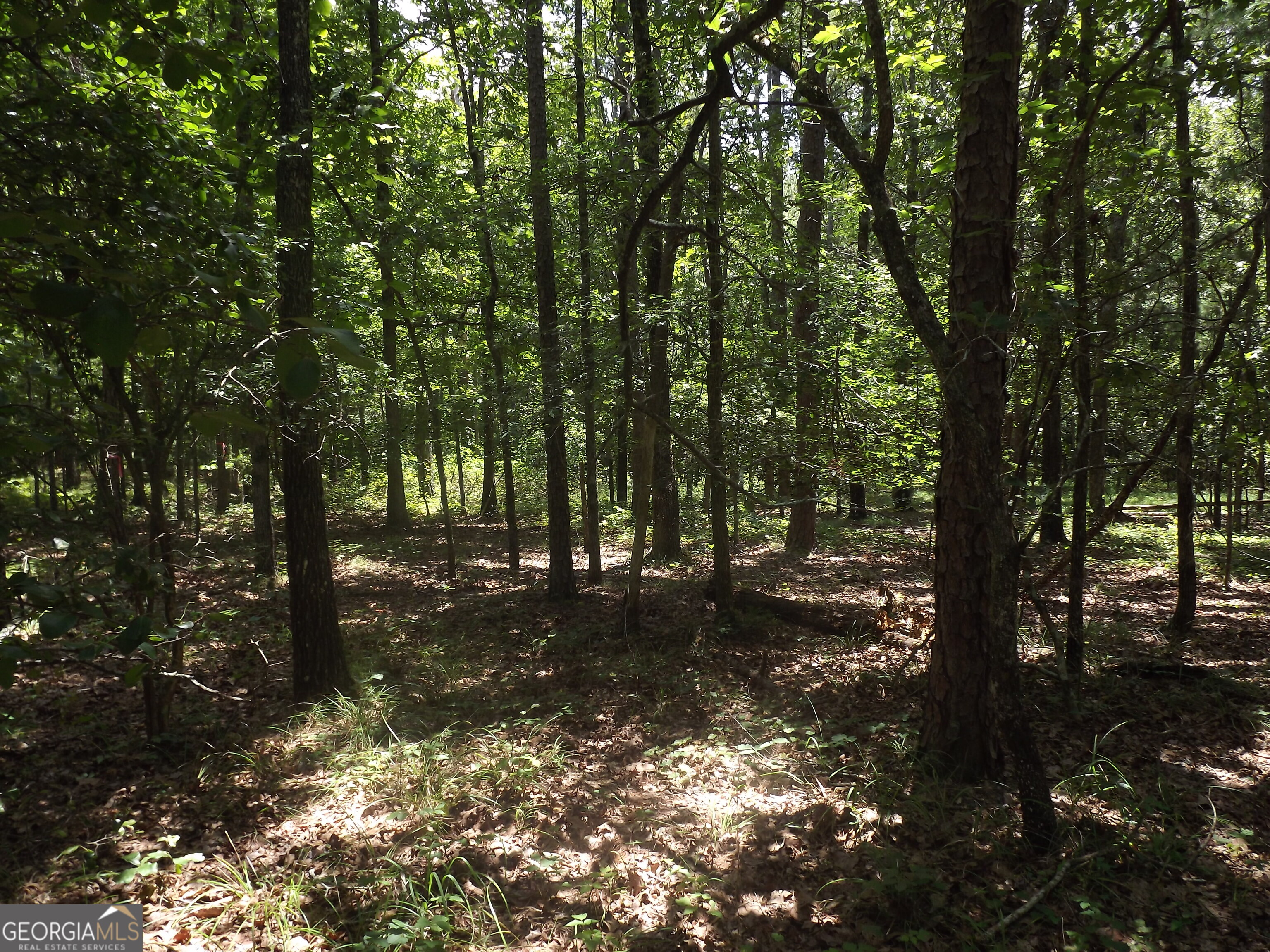 0 George Road Cave Spring GA 30124
