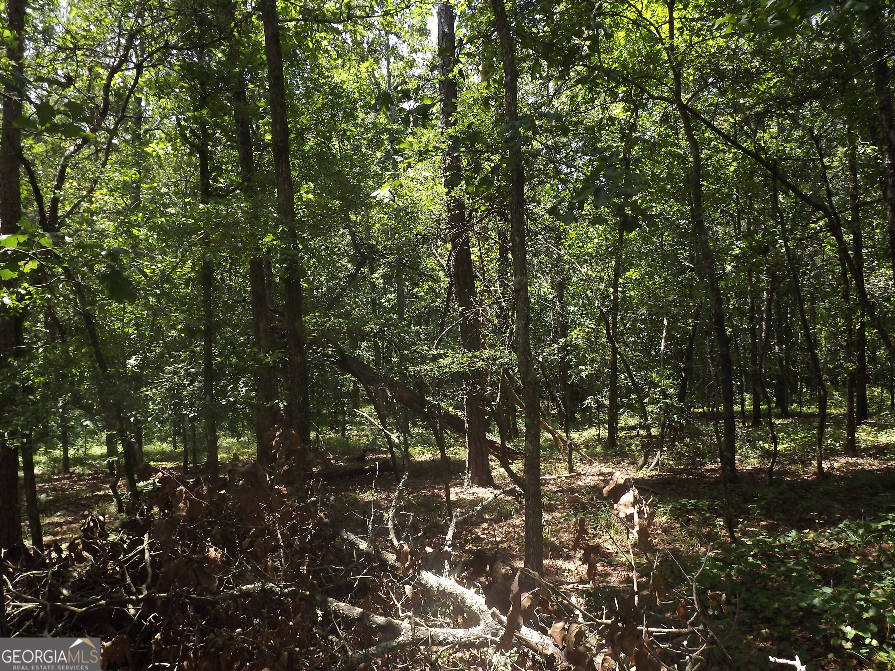 0 George Road Cave Spring GA 30124