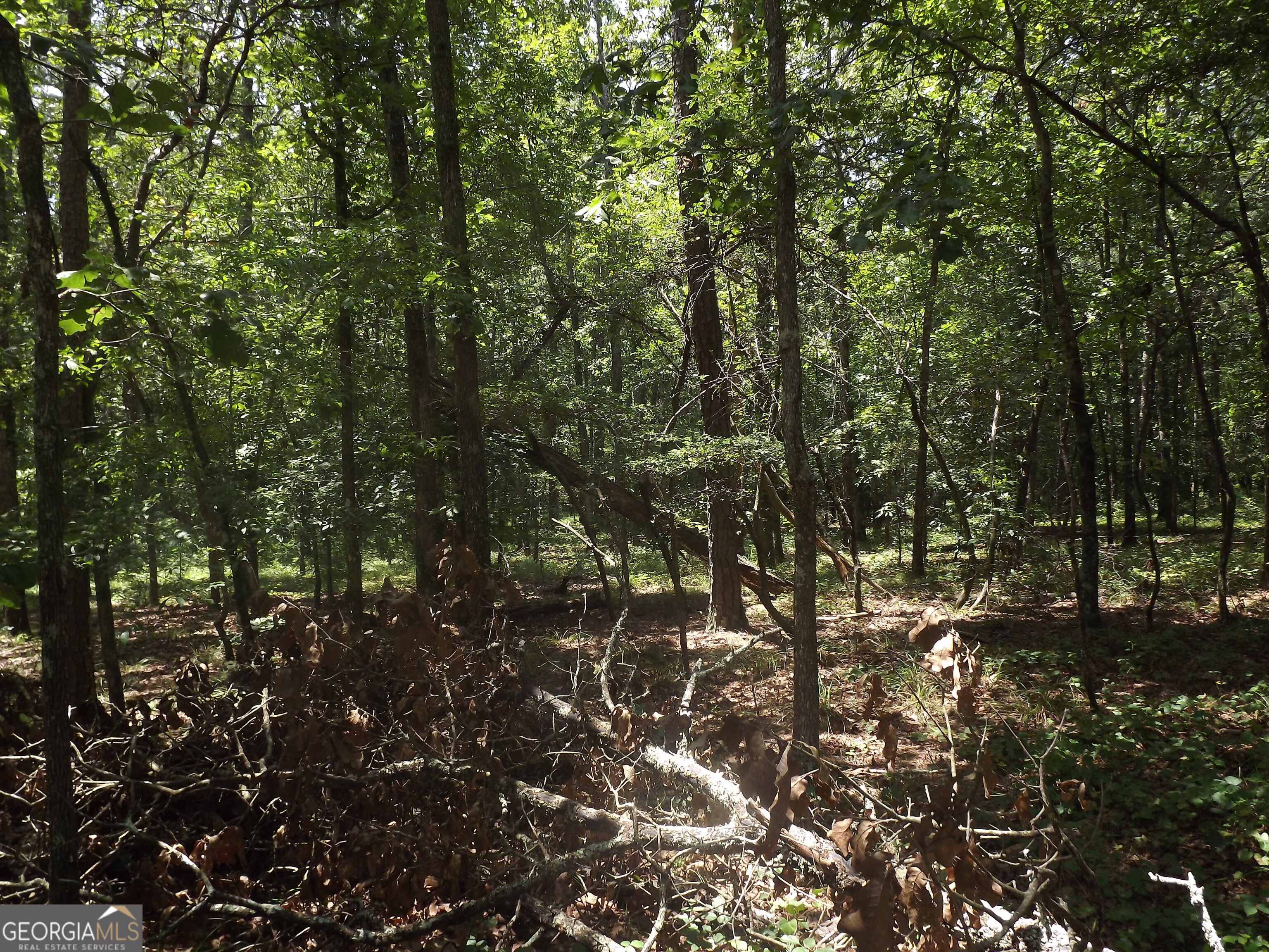 0 George Road Cave Spring GA 30124