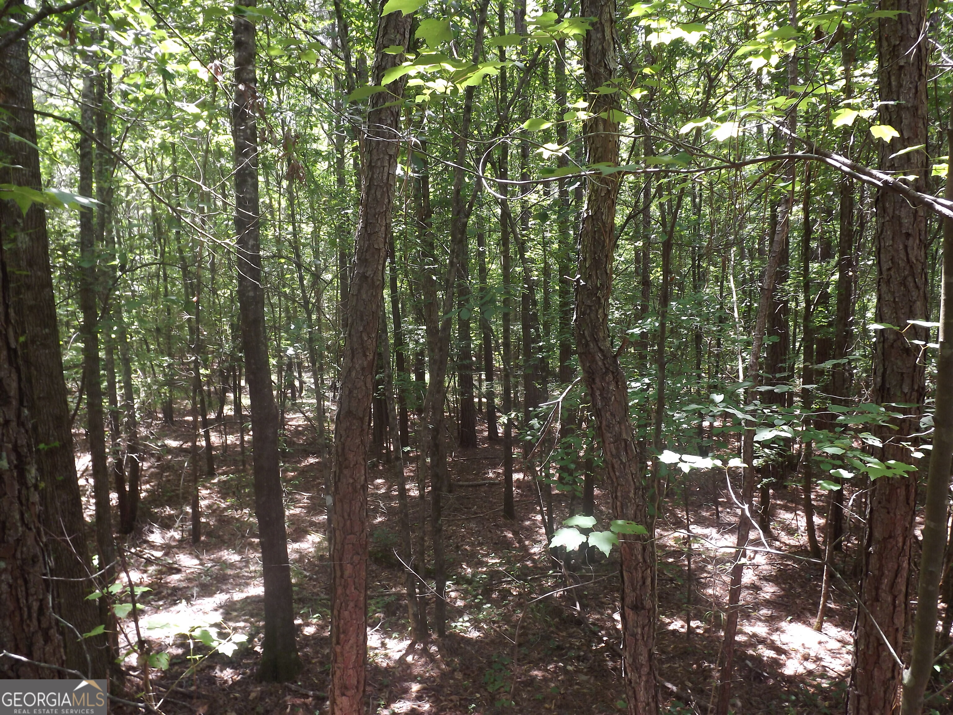 0 George Road Cave Spring GA 30124