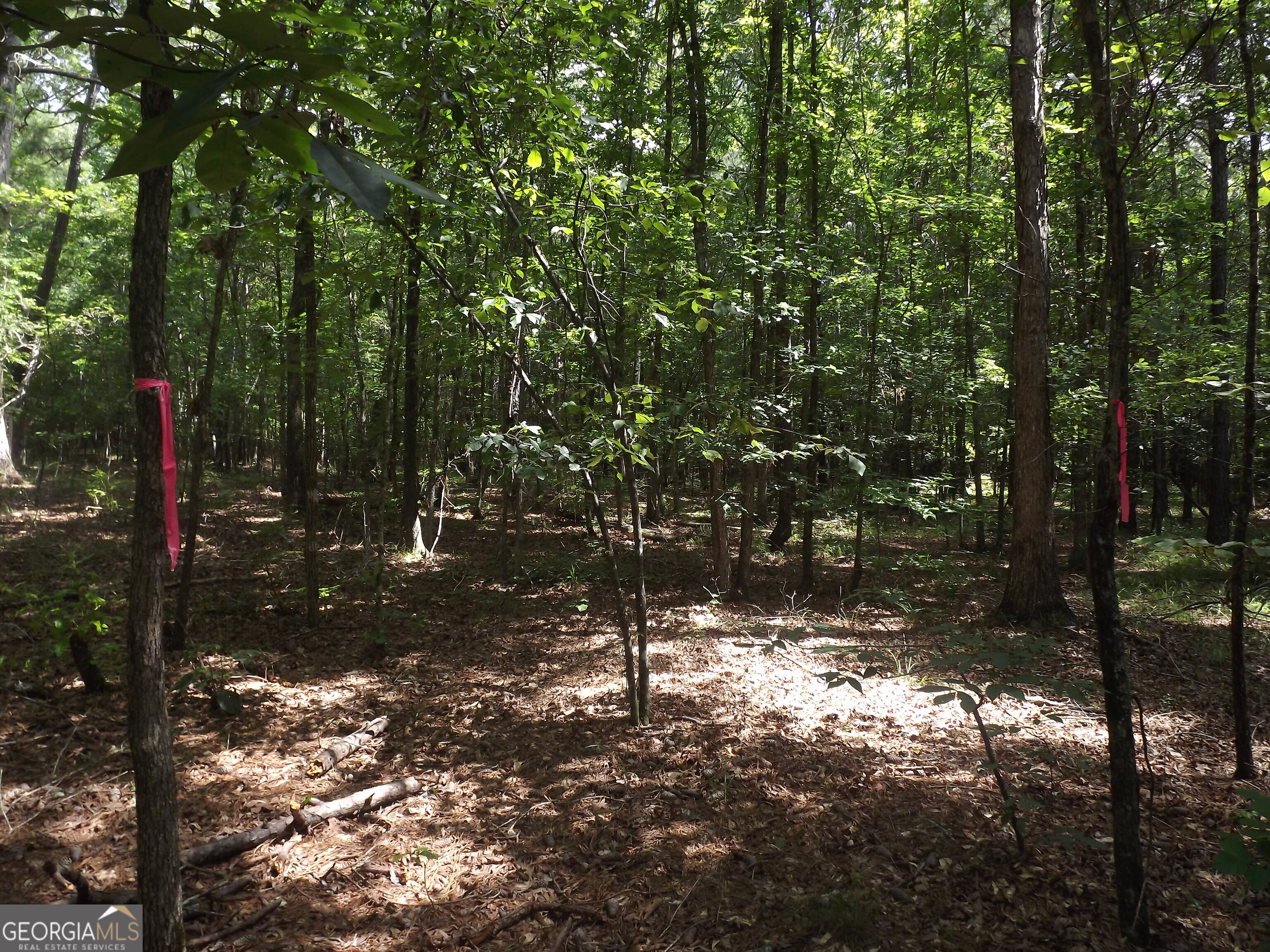 0 George Road Cave Spring GA 30124