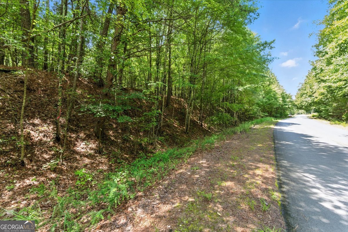 0 George Road Cave Spring GA 30124