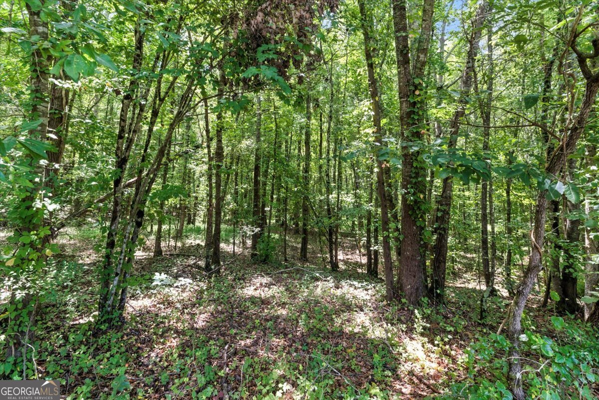 0 George Road Cave Spring GA 30124