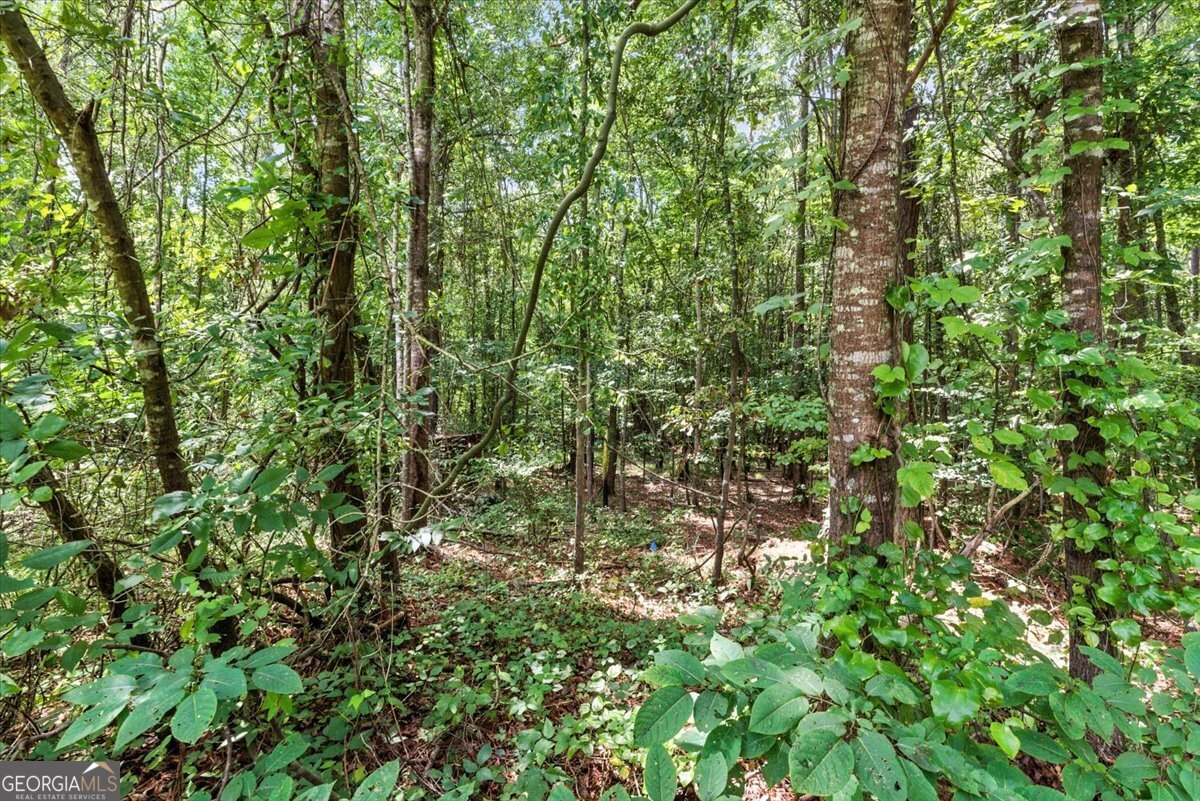 0 George Road Cave Spring GA 30124