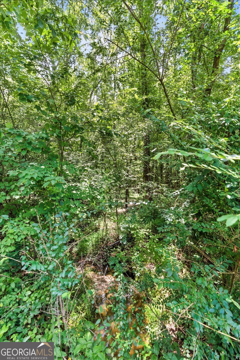 0 George Road Cave Spring GA 30124