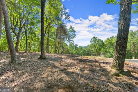 210 Chimney Oaks Trail Cleveland GA 30528
