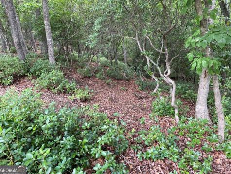 Lot 57 Asheland Overlook Young Harris GA 30582