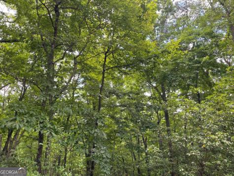 Lot 57 Asheland Overlook Young Harris GA 30582