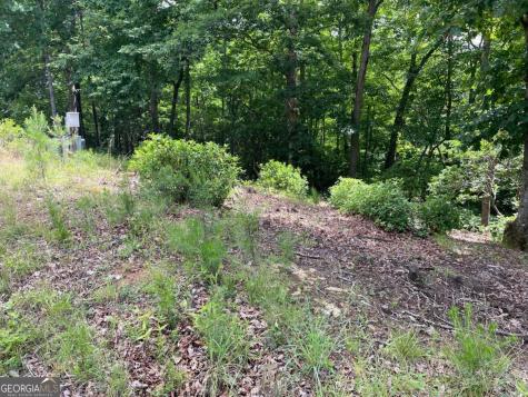 Lot 57 Asheland Overlook Young Harris GA 30582