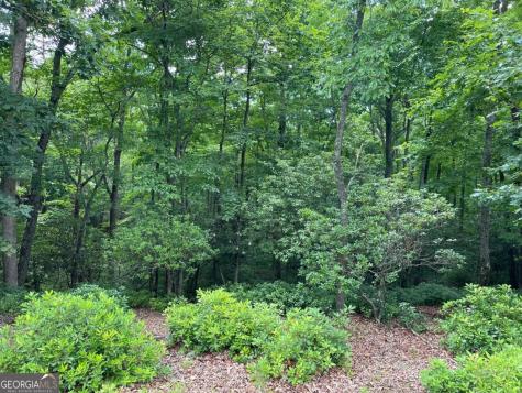 Lot 57 Asheland Overlook Young Harris GA 30582